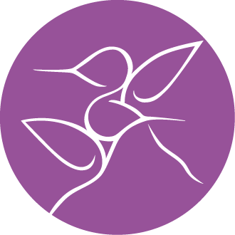 Aceso Retreat logo